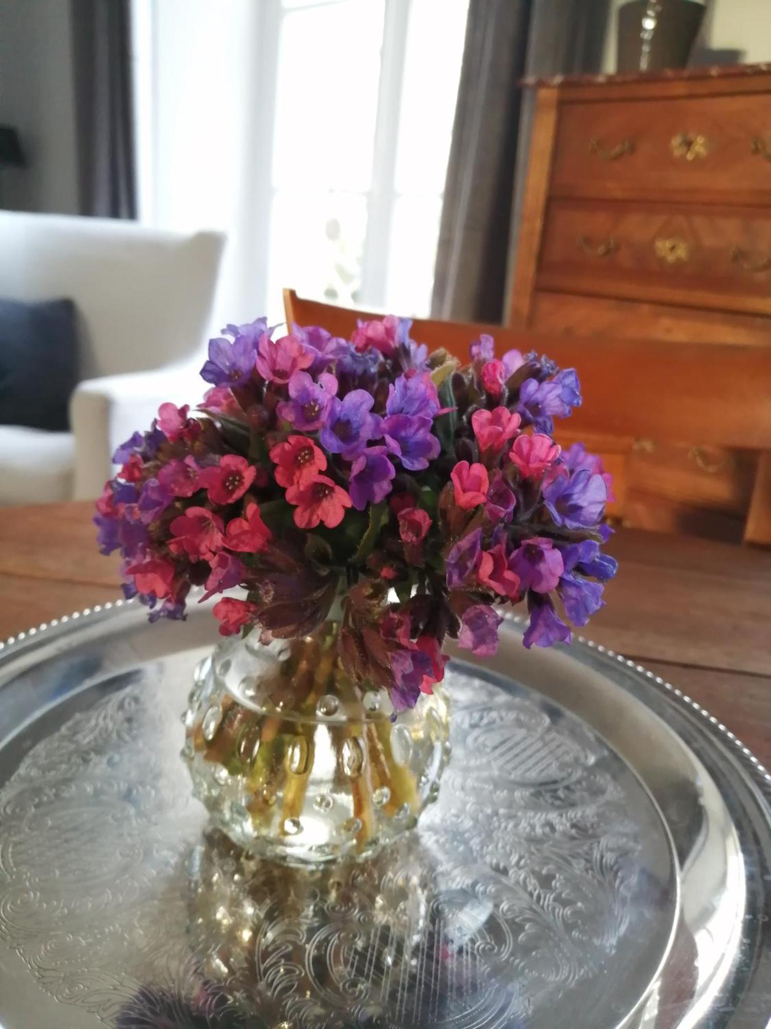 Bed and Breakfast Domaine De Prefond Bengy-sur-Craon Номер фото
